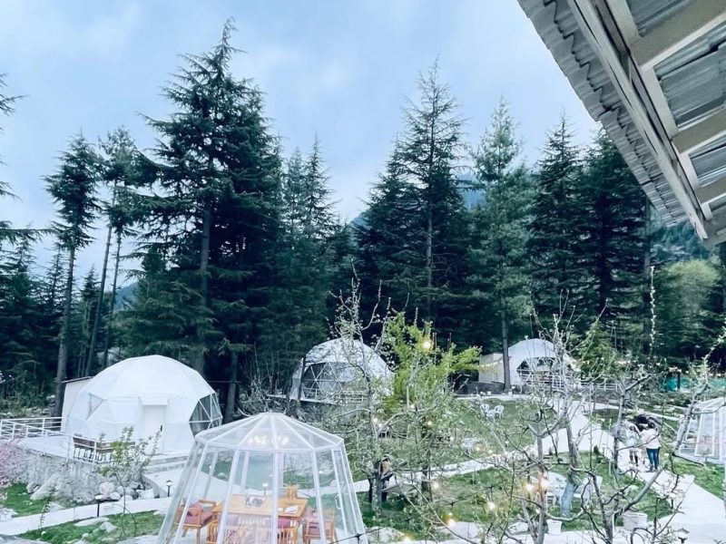 manali camp